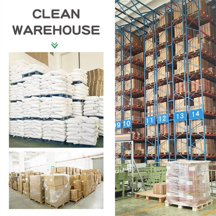 Streptococcus-thermophilus-powder-warehouse-4