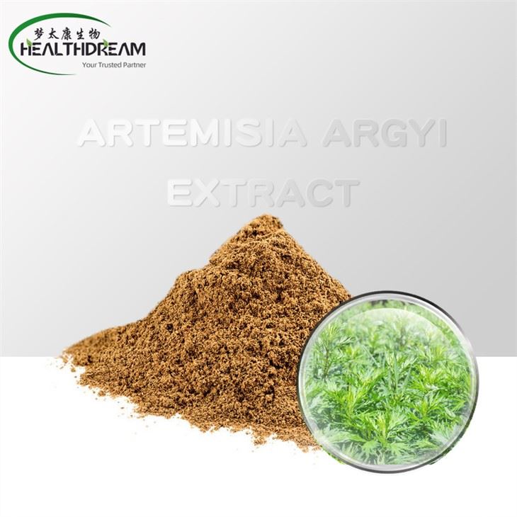 Artemisia argyi抽出物