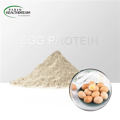 卵のたんぱく質